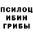 Псилоцибиновые грибы мухоморы Aisulu MT